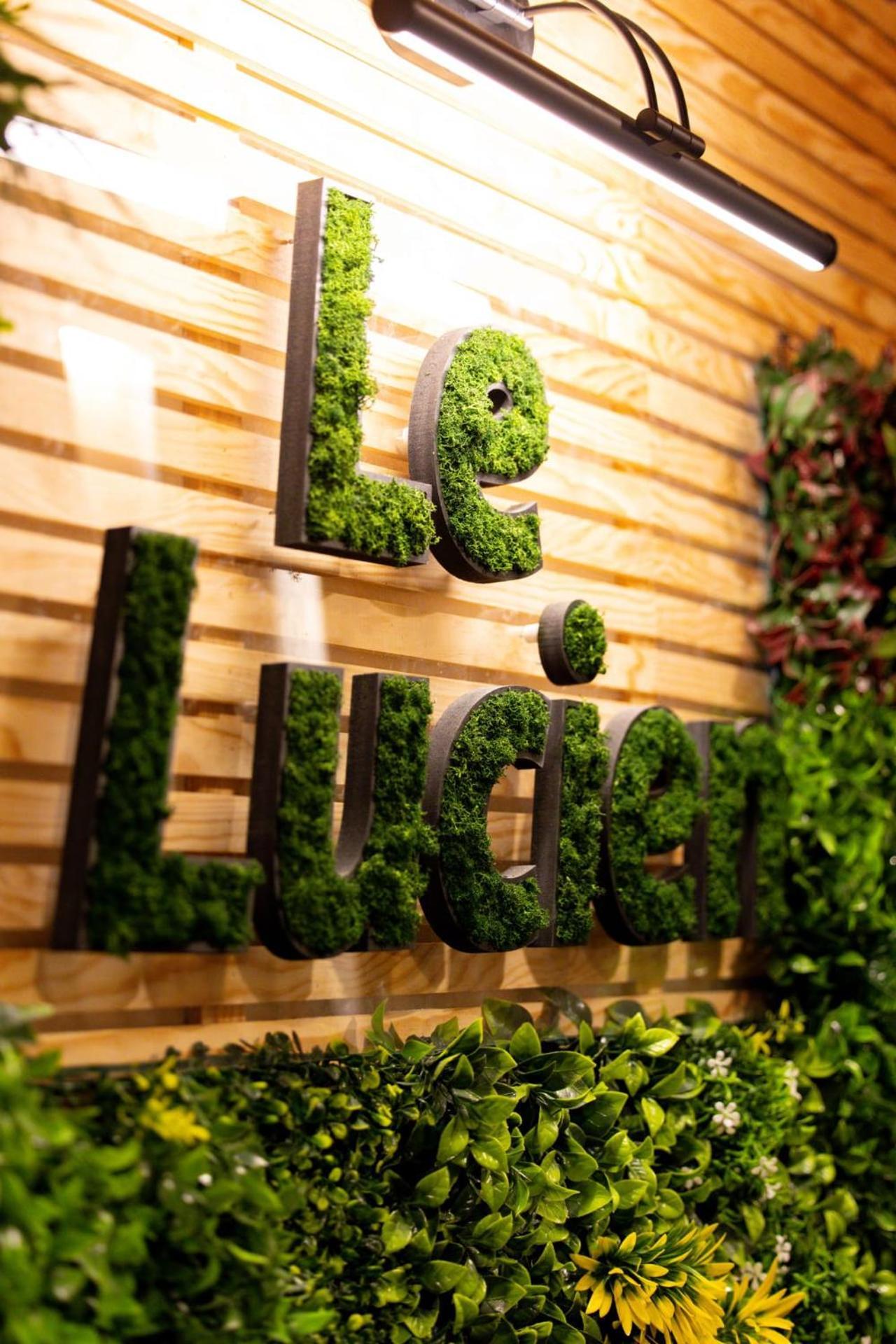 Le Lucien Eco-Appart'Hotel - Angouleme - Centre - Wifi - Parking Prive - Classe 4 Etoiles Luaran gambar